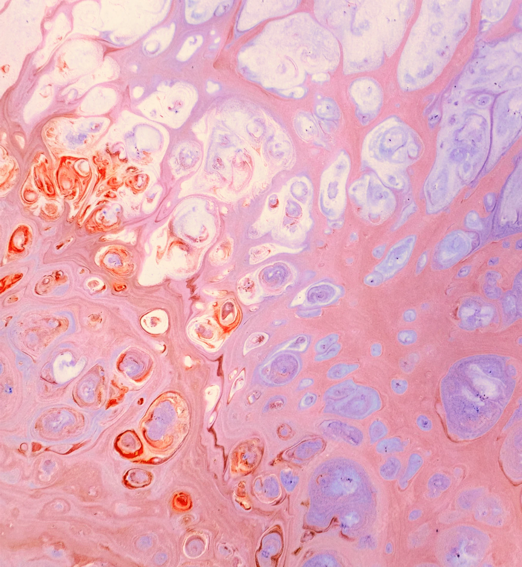 Formulated to be absorbed