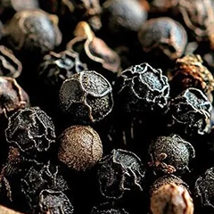 Black Pepper